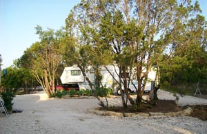 A travel trailer parked among the trees beside a gravel drive