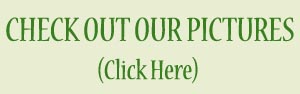 Click here To See Pictures!
